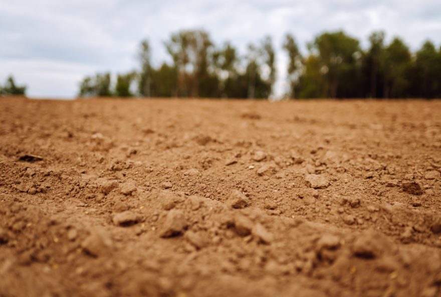Close-up of black soil. Agriculture, soil before sowing. Fertile land texture, rural field landscape
