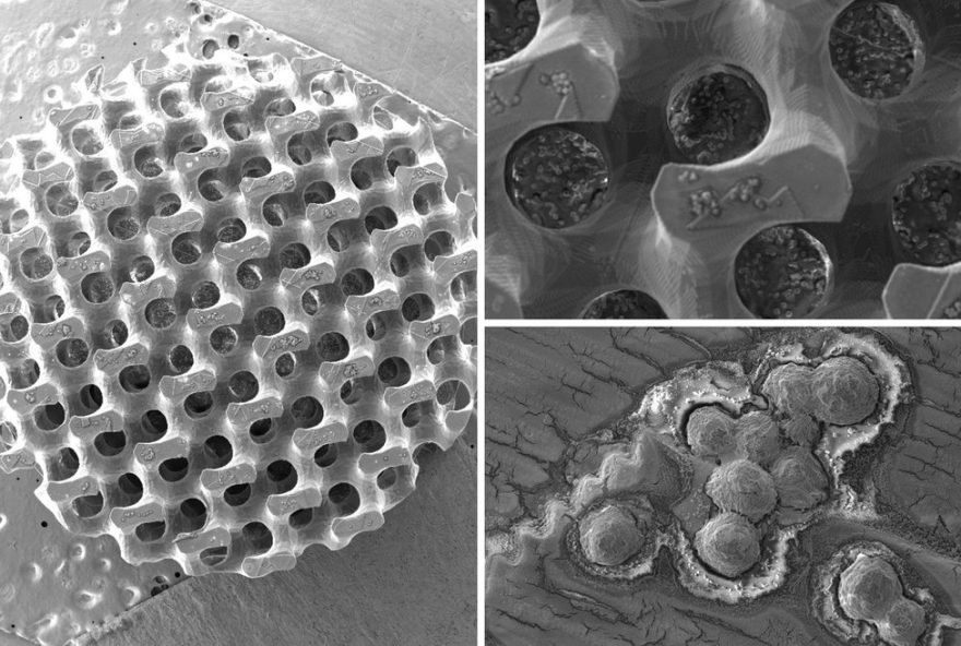 impressao-3d-no-cti-renato-archer3A-revolucao-na-saude-com-nanoimpressoes-e-captura-seletiva-de-celulas-cancerigenas