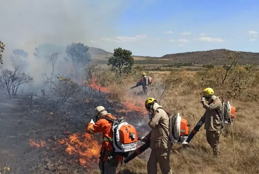 incêndio Chapada dos Veadeiros