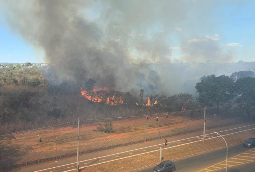 incendio-atinge-mata-no-parque-burle-marx-no-noroeste2C-no-df3B-assista-ao-video