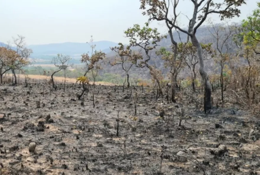 Apenas 1% dos focos teriam causas naturais, conforme alguns estudos, de acordo com tenente Vanessa Furquim. (Foto: Divulgação/Polícia Civil)