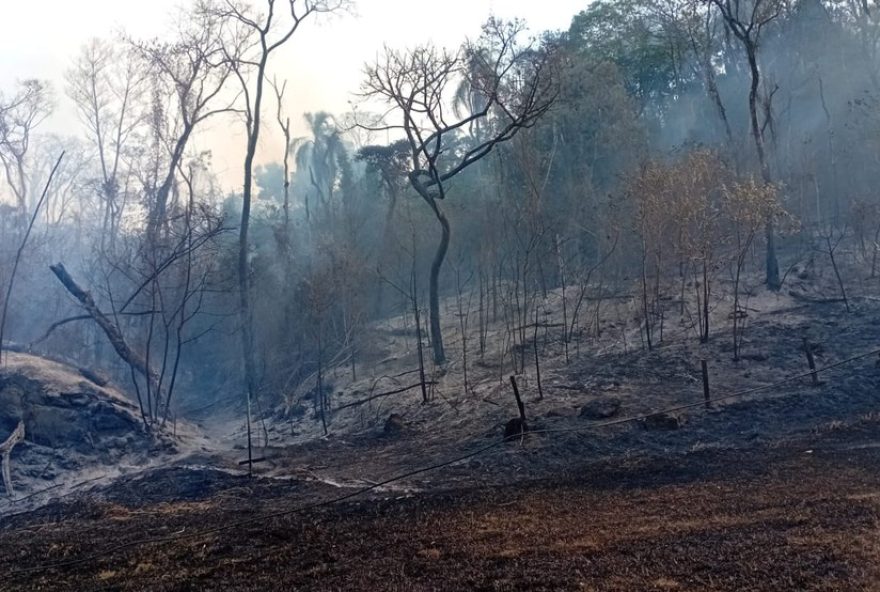 incendio-controlado-na-rodovia-francisco-von-zuben-em-valinhos3A-focos-persistem-sob-monitoramento