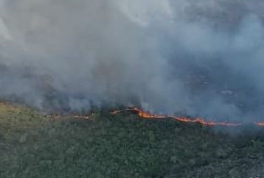 incendio-criminoso-consome-2025-da-serra-de-sao-jose-em-minas-gerais3A-combate-intensificado-com-50-pessoas