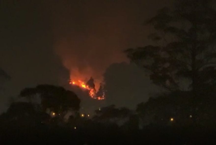 incendio-de-grandes-proporcoes-atinge-mata-em-mogi-das-cruzes3A-corpo-de-bombeiros-recebeu-mais-de-100-chamados