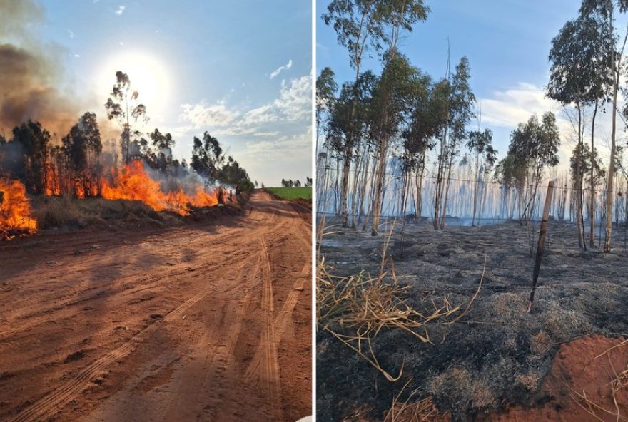 incendio-destroi-100-mil-m2-de-plantacao-em-martinopolis-sp3A-a-importancia-da-prevencao-e-recuperacao-ambiental