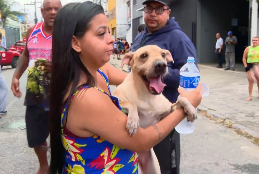 incendio-destroi-galpao-de-empresa-de-pecas-de-moto-em-ramos3A-moradores-relatam-desespero incendio-destroi-galpao-de-empresa-de-pecas-de-moto-em-ramos3A-moradores-relatam-desespero