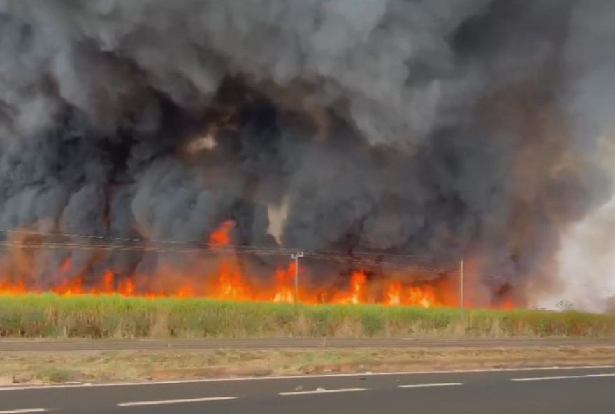 incendio-devastador-em-canavial-de-acreuna2C-goias3A-a-importancia-da-prevencao-e-resposta-eficaz-para-proteger-a-regiao