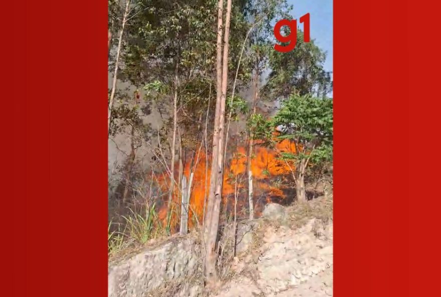 incendio-em-area-de-mata-mobiliza-defesa-civil-em-sao-luiz-do-paraitinga