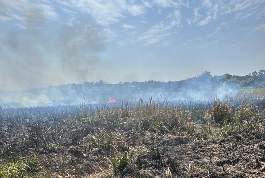 incendio-em-itaquaquecetuba3A-equipes-combatem-chamas-em-area-de-mata-e-alertam-para-prevencao-e-seguranca