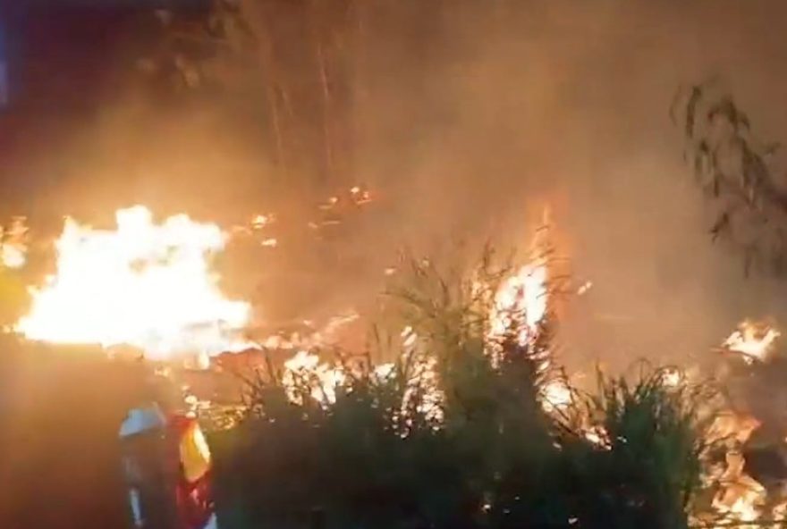 incendio-em-jacarei3A-acao-rapida-do-corpo-de-bombeiros-evita-tragedia-na-mata.-como-agir-para-evitar-incendios-florestais