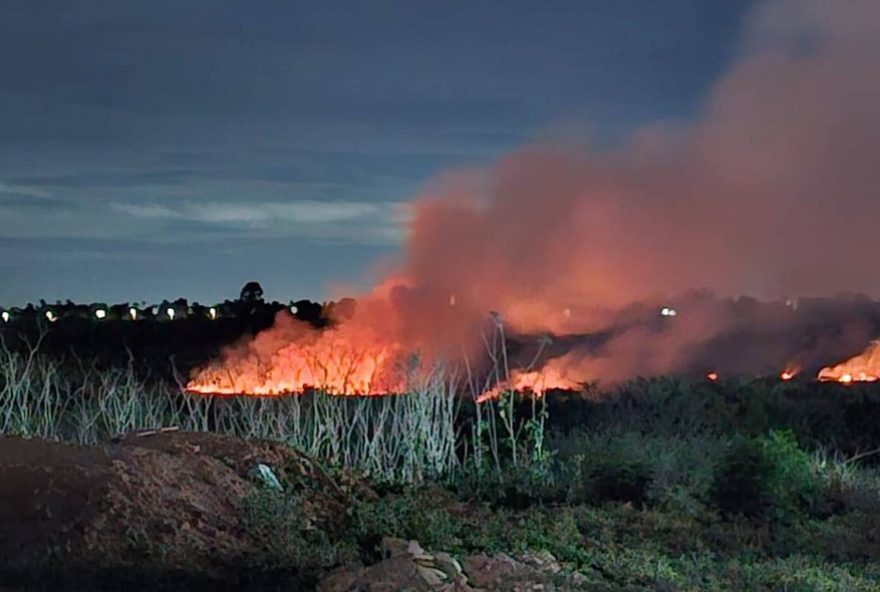 incendio-em-lagoa-assusta-moradores-de-feira-de-santana3A-grande-quantidade-de-fumaca-preocupa-populacao