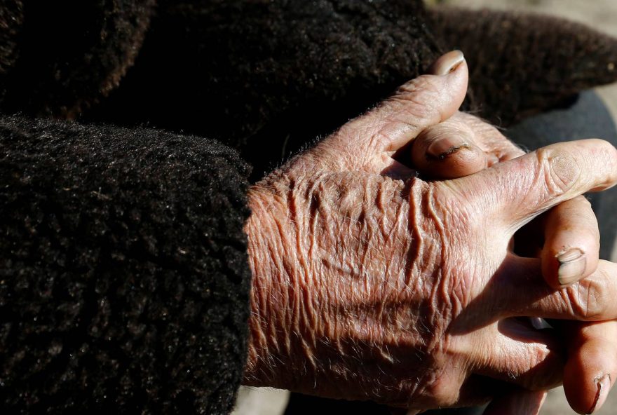 incendio-em-lar-de-idosos-de-vila-nova-de-foz-coa-com-origem-em-radiador incendio-em-lar-de-idosos-de-vila-nova-de-foz-coa-com-origem-em-radiador