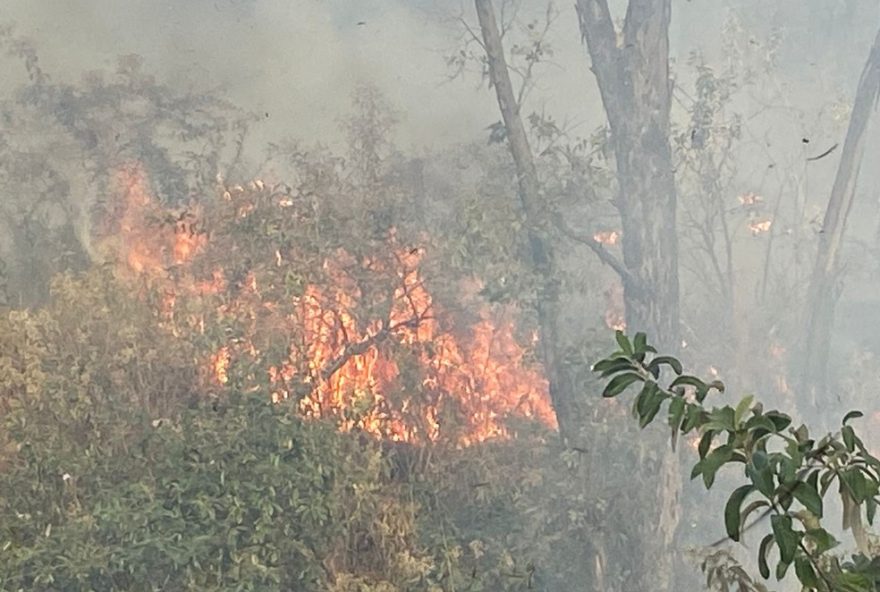 incendio-em-mata-de-piracicaba-mobiliza-moradores-e-bombeiros-em-acao-conjunta