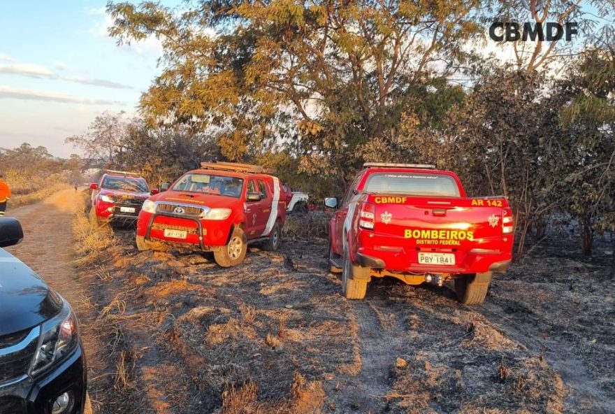 incendio-florestal-no-df3A-ibge-lamenta-perda-de-servidores-em-tragedia-ambiental