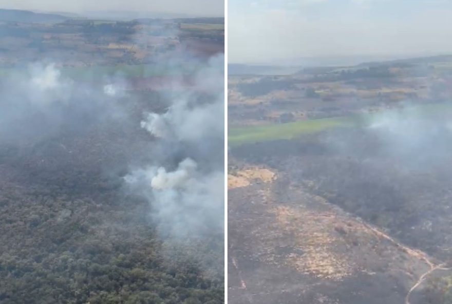 incendio-na-estacao-ecologica-de-santa-maria-em-sp3A-equipes-combatem-chamas-ha-mais-de-24-horas-como-ajudar3F