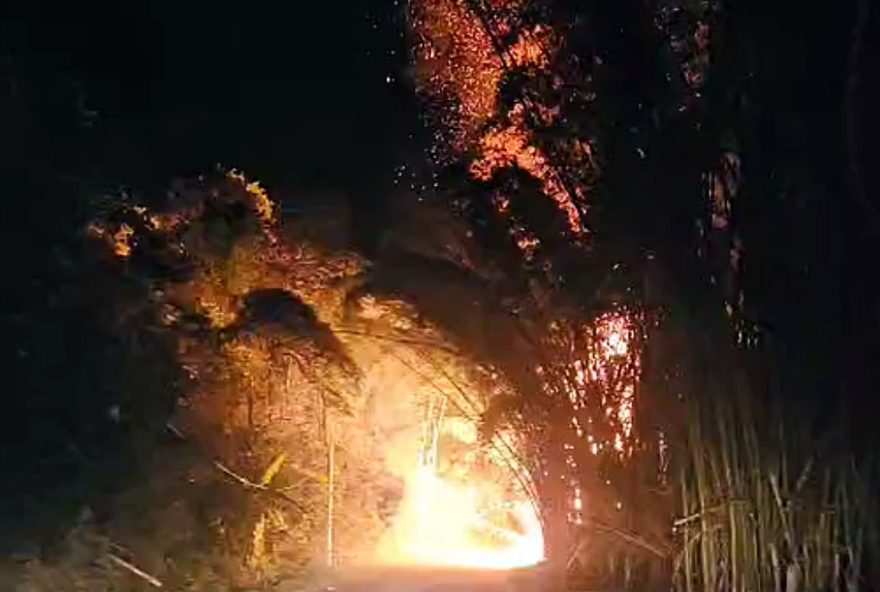 incendio-na-mg-267-entre-machado-e-carvalhopolis3A-bombeiros-agem-contra-focos-de-fogo-criminosos.-saiba-mais incendio-na-mg-267-entre-machado-e-carvalhopolis3A-bombeiros-agem-contra-focos-de-fogo-criminosos.-saiba-mais