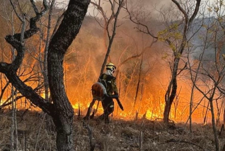 incendio-na-reserva-indigena-ava-canoeiro3A-brigadistas-atuam-para-conter-chamas-e-proteger-o-meio-ambiente