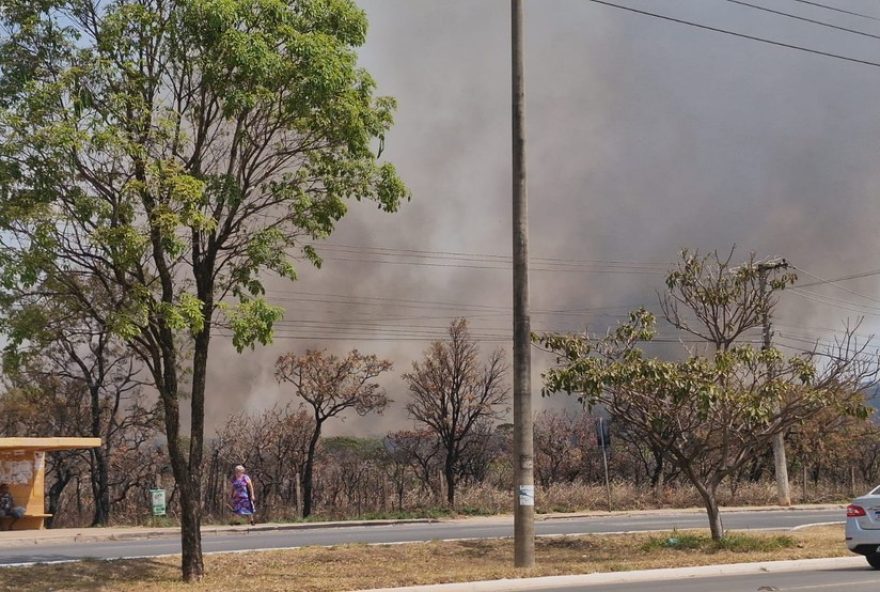 incendio-no-parque-canela-da-ema-em-brasilia3A-chamas-preocupam-moradores-e-autoridades