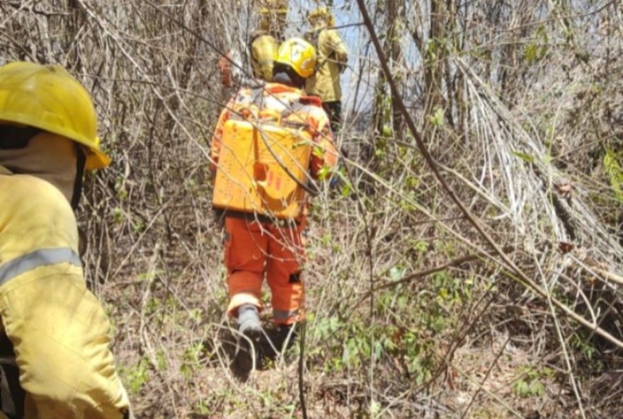 incendio-no-parque-estadual-da-lapa-grande3A-impacto-e-mobilizacao-aerea