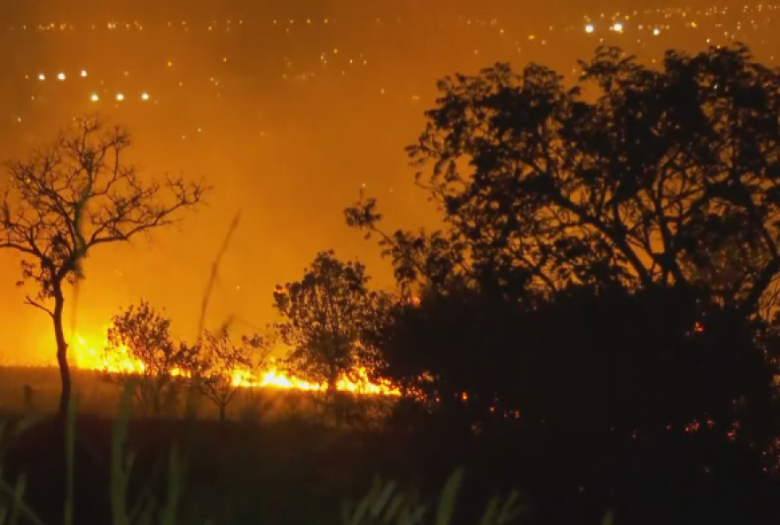 Apenas na primeira semana de setembro já foram atendidas mais de 200 ocorrências pelo Corpo de Bombeiros. (Foto: Reprodução/TV Anhanguera)