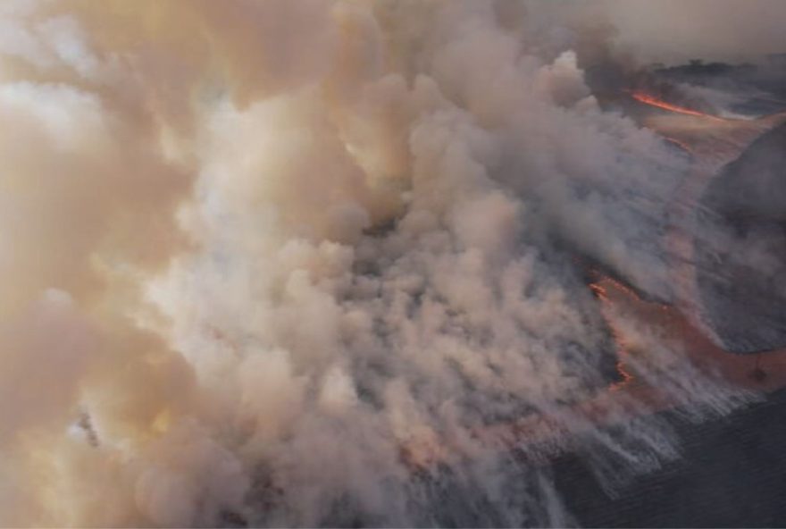 incendios-devastam-areas-e-causam-fatalidade-animal-em-sp3A-alerta-para-conservacao-e-prevencao