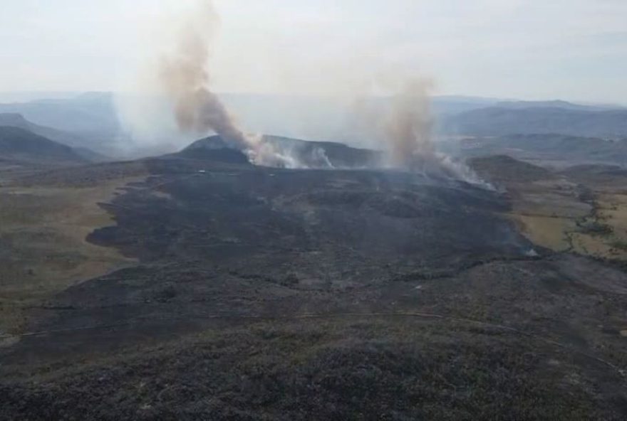 incendios-devastam-chapada-dos-veadeiros2C-mas-a-luta-pela-recuperacao-da-biodiversidade-continua