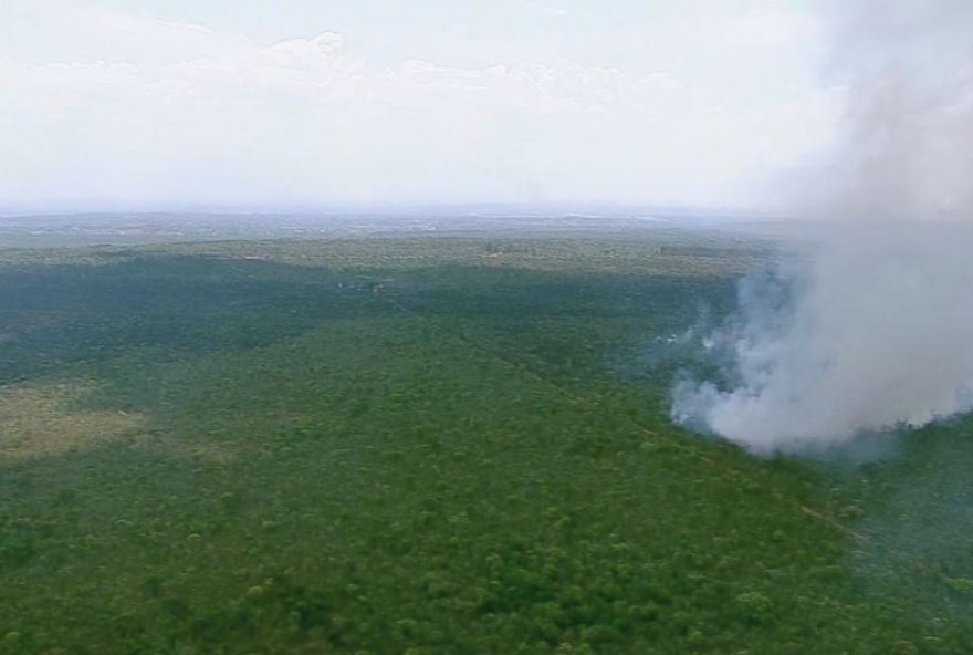 incendios-no-df3A-autoridades-alertam-sobre-riscos-e-medidas-preventivas