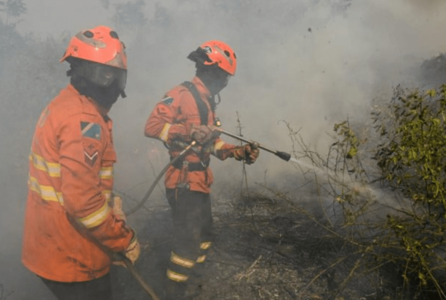 incendios-no-pantanal3A-aumento-alarmante-de-focos-em-janeiro-de-2026 incendios-no-pantanal3A-aumento-alarmante-de-focos-em-janeiro-de-2026