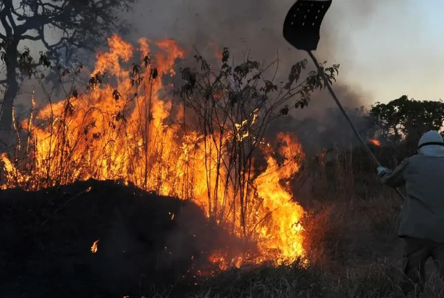 incendios_florestais