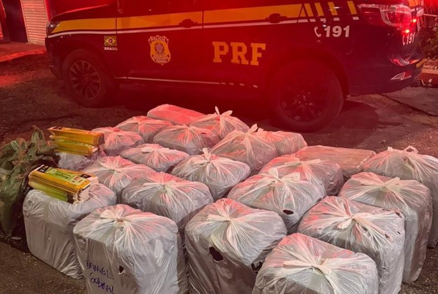 incensos-repelentes-de-mosquitos-contrabandeados-sao-apreendidos-pela-prf3A-riscos-a-saude-publica incensos-repelentes-de-mosquitos-contrabandeados-sao-apreendidos-pela-prf3A-riscos-a-saude-publica