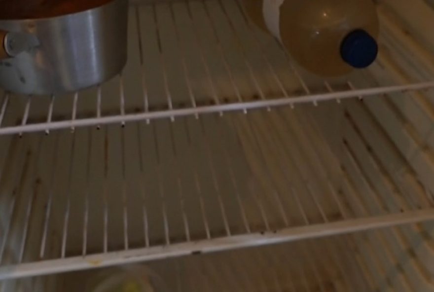 indices-de-inseguranca-alimentar-caem-em-sao-jose2C-taubate2C-cacapava-e-jacarei3A-dados-do-ibge-e-cadunico.-a-evolucao-do-conceito-de-fome