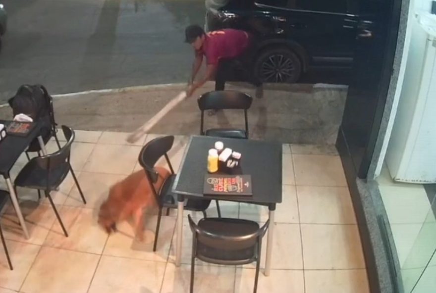 individuo-e-detido-por-agredir-cachorro-em-juazeiro-do-norte3A-crueldade-choca-e-gera-revolta3B-caso-levanta-debate-sobre-violencia-animal