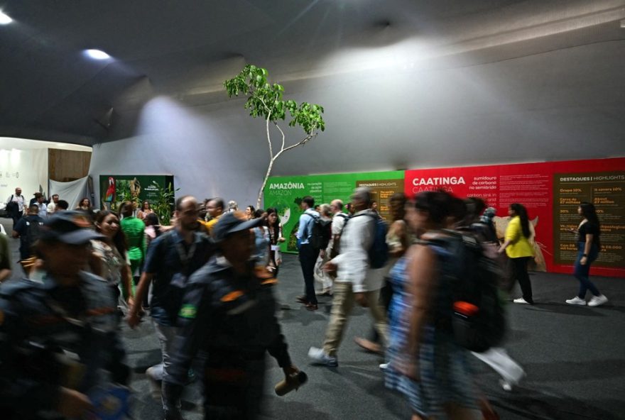 industria-do-maranhao-na-cop303A-lideranca-na-transicao-climatica industria-do-maranhao-na-cop303A-lideranca-na-transicao-climatica