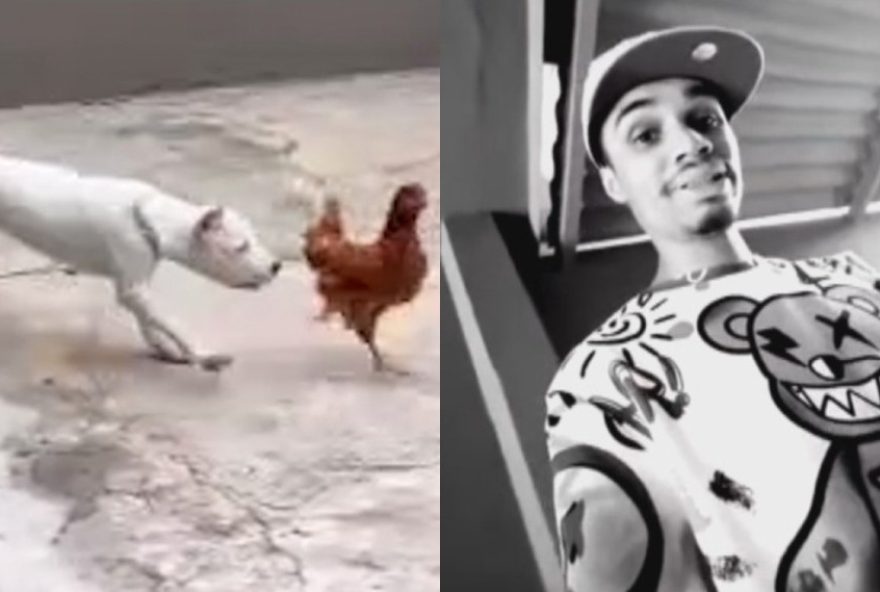 influenciador-e-preso-por-maus-tratos-ao-jogar-galinhas-vivas-para-cachorros-comerem