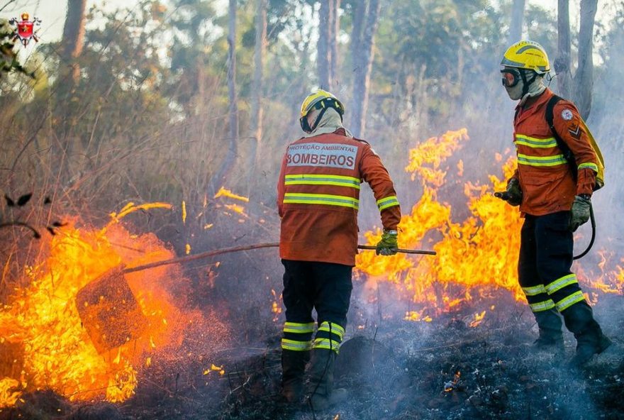instituto-brasilia-ambiental3A-contratacao-de-150-brigadistas-florestais-para-combate-a-incendios