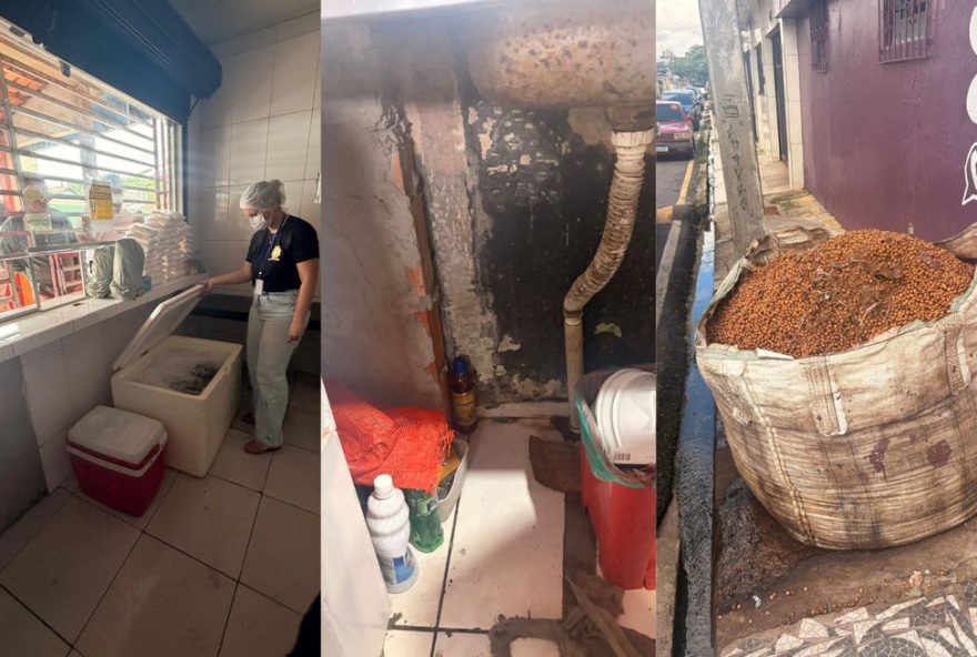 interdicao-de-acai-em-ananindeua3A-ministerio-publico-fiscaliza-estabelecimentos-apos-casos-de-doenca-de-chagas interdicao-de-acai-em-ananindeua3A-ministerio-publico-fiscaliza-estabelecimentos-apos-casos-de-doenca-de-chagas