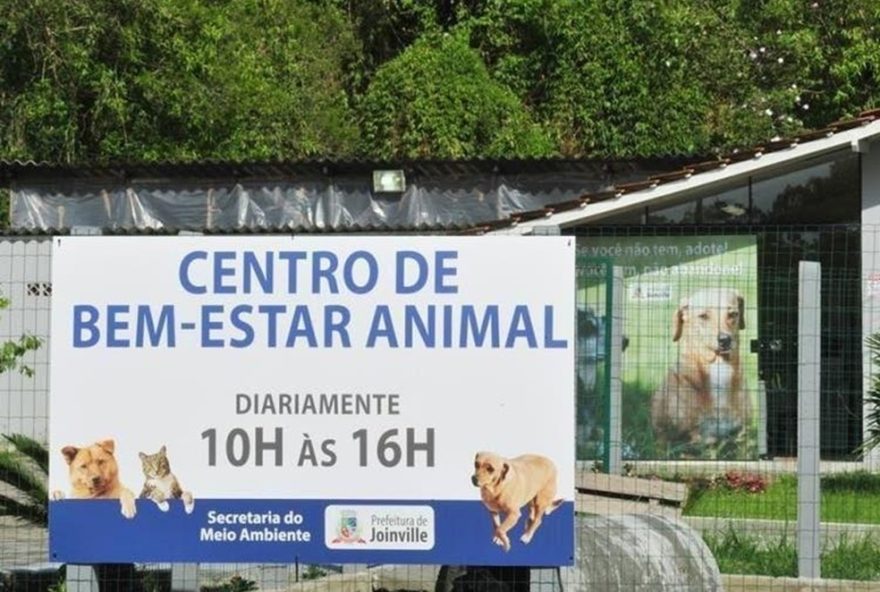 investigacao-de-denuncia-de-eutanasia-em-animais-no-cbea-de-joinville3A-ministerio-publico-apura-casos-de-procedimentos-desnecessarios investigacao-de-denuncia-de-eutanasia-em-animais-no-cbea-de-joinville3A-ministerio-publico-apura-casos-de-procedimentos-desnecessarios