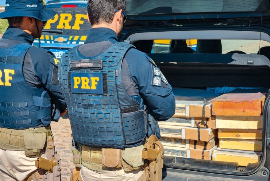 irmaos-sao-detidos-com-465-passaros-silvestres-em-pernambuco3A-video-e-detalhes