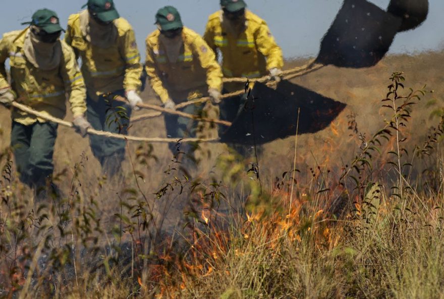 A brigada de incêndio da Prevfogo, formada por quilombolas, faz simulação de combate ao fogo no Cerrado.  (Foto: Joédson Alves/Agência Brasil )