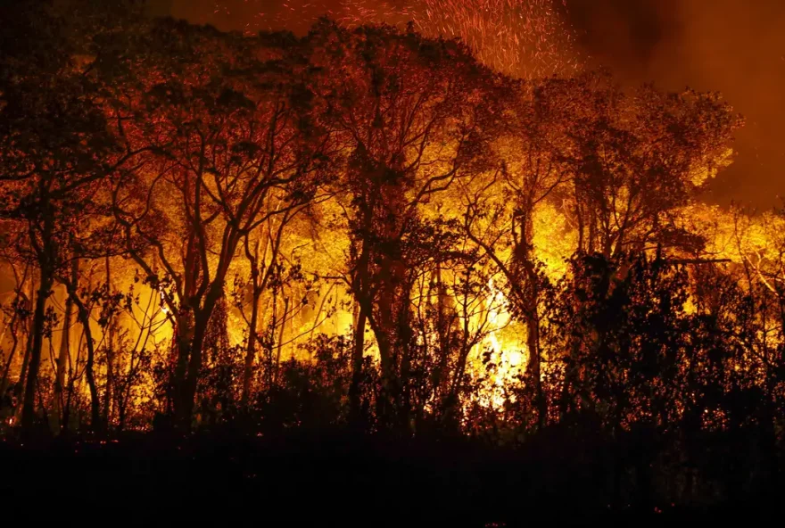 Pantanal tem mais de 3 mil incêndios em novembro; recorde histórico