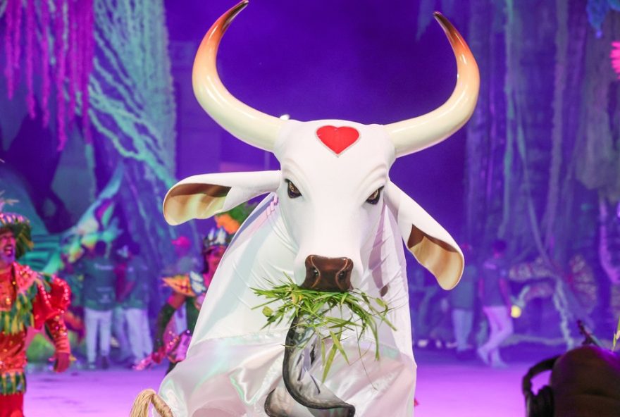 japoneses-emocionam-ao-cantar-toada-do-boi-garantido-e-viralizam-globalmente japoneses-emocionam-ao-cantar-toada-do-boi-garantido-e-viralizam-globalmente