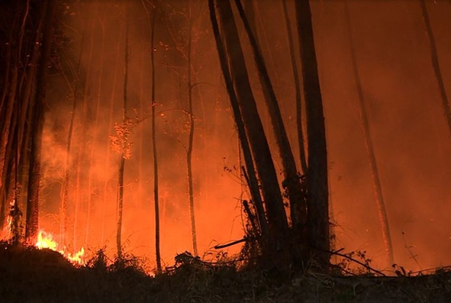 joaquim-egidio3A-distrito-recebe-tanque-para-combate-a-incendios-apos-devastacao-de-120-hectares.-medidas-eficientes-para-seguranca-da-regiao