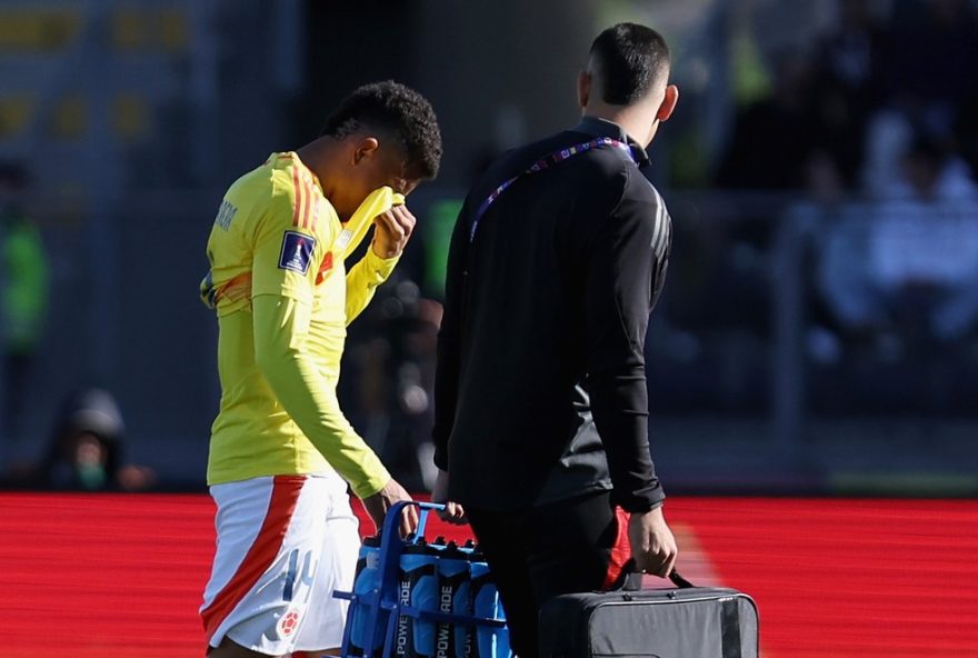 jordan-barrera2C-do-botafogo2C-deixa-colombia-x-africa-do-sul-chorando-com-dores-na-coxa3A-atualizacoes-sobre-sua-recuperacao