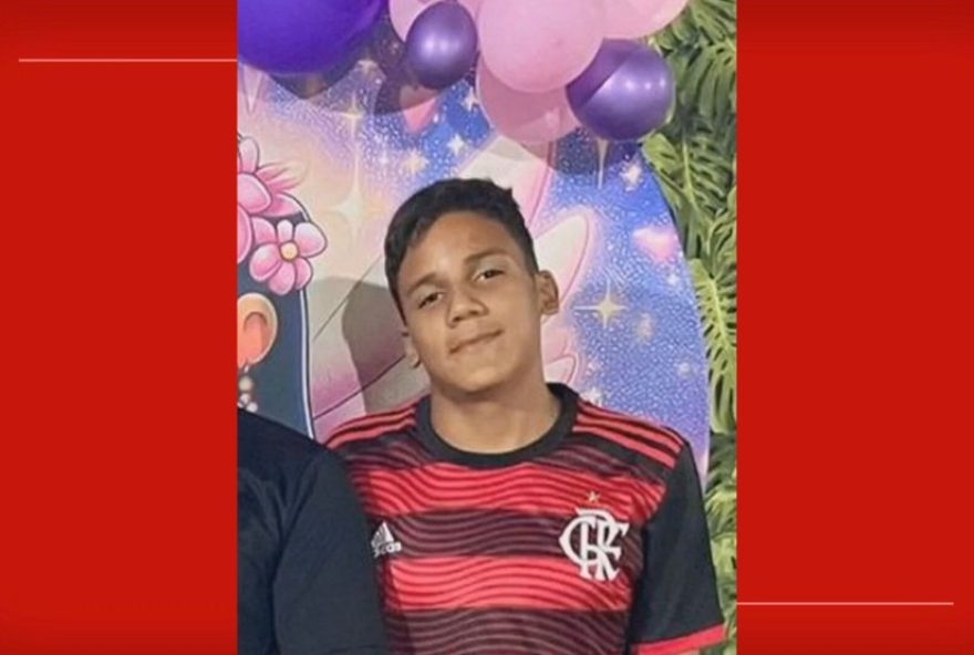 jovem-de-14-anos-e-atacado-por-abelhas-em-escola-da-fercal2C-no-df3A-estado-de-saude-atualizado