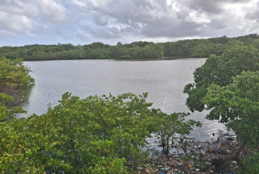 jovem-de-18-anos-desaparece-apos-se-afogar-no-rio-anil-em-sao-luis3A-buscas-continuam-no-local jovem-de-18-anos-desaparece-apos-se-afogar-no-rio-anil-em-sao-luis3A-buscas-continuam-no-local