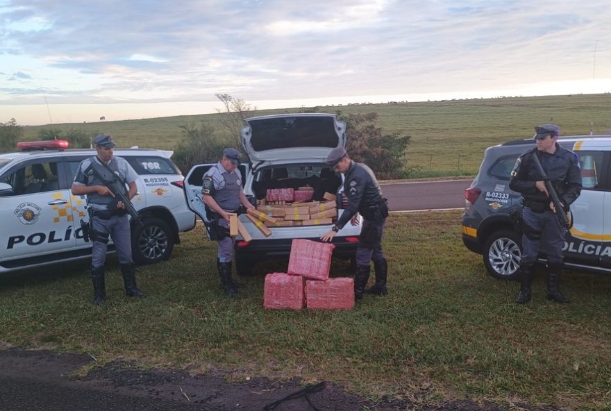 jovem-de-19-anos-e-detido-com-mais-de-800-kg-de-maconha-em-veiculo-em-sp