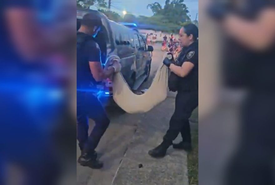 jovem-de-19-anos-preso-por-maus-tratos2C-cao-encontrado-morto-em-itajai3B-2-adolescentes-apreendidos jovem-de-19-anos-preso-por-maus-tratos2C-cao-encontrado-morto-em-itajai3B-2-adolescentes-apreendidos