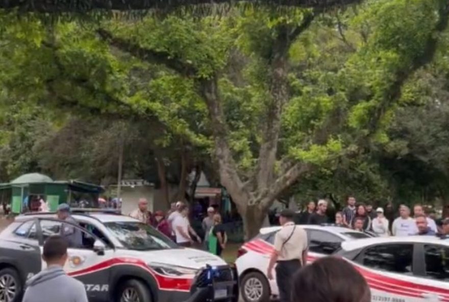 jovem-e-detido-por-ofensas-racistas-e-agressao-no-parque-ibirapuera3A-ssp-registra-crime-de-preconceito-e-lesao-corporal