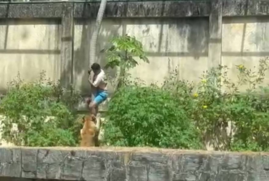 jovem-morto-por-leoa-evidencia-falhas-no-tratamento-da-esquizofrenia