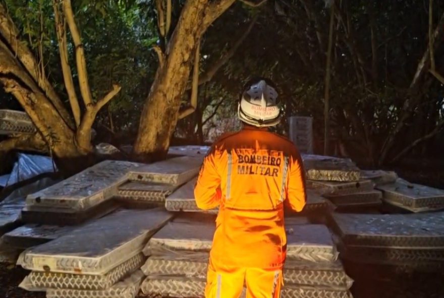 jovem-se-recusa-a-descer-de-arvore-em-salvador-ha-mais-de-60-horas3A-negociacoes-em-andamento-e-colchoes-posicionados-para-possivel-resgate